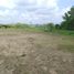  Land for sale in Dosquebradas, Risaralda, Dosquebradas