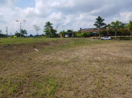  Land for sale in Dosquebradas, Risaralda, Dosquebradas