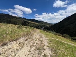  Grundstück zu verkaufen in Loja, Loja, Loja, Loja, Loja