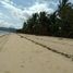 Grundstück zu verkaufen in Busuanga, Mimaropa, Busuanga