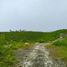  Land for sale in Cebu Central Visayas, Sibonga