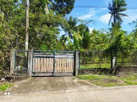  Land for sale in San Juan, Batangas, San Juan