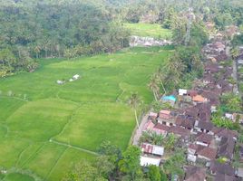  Grundstück zu verkaufen in Gianyar, Bali, Tegallalang