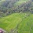  Terrain for sale in Gianyar, Bali, Tegallalang, Gianyar