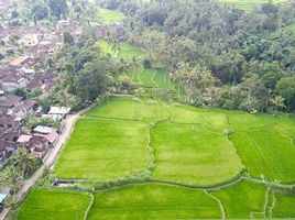  Terrain for sale in Gianyar, Bali, Tegallalang, Gianyar