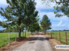  Land for sale in Acacias, Meta, Acacias