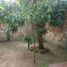 3 chambre Maison for sale in Maynas, Loreto, Iquitos, Maynas