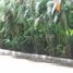  Land for sale in Acapulco, Guerrero, Acapulco, Guerrero