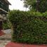 3 Habitación Departamento en venta en Acapulco, Guerrero, Acapulco, Guerrero