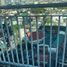 1 Habitación Departamento en venta en Quezon City, Metro Manila, Quezon City