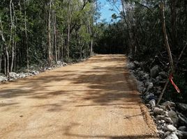  Terreno (Parcela) en venta en Cozumel, Quintana Roo, Cozumel