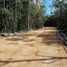  Terreno (Parcela) en venta en Cozumel, Quintana Roo, Cozumel