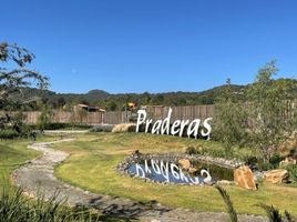  Grundstück zu verkaufen in Tapalpa, Jalisco, Tapalpa