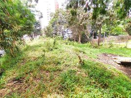 Terrain à vendre à Envigado, Antioquia, Envigado
