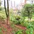 Terrain à vendre à Envigado, Antioquia, Envigado