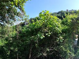  Terreno (Parcela) en venta en Cuernavaca, Morelos, Cuernavaca