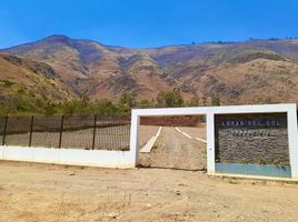  Terreno (Parcela) en venta en Huenuco, Huánuco, Amarilis, Huenuco