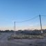  Land for sale in Biedma, Chubut, Biedma, Chubut
