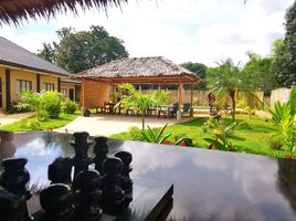 6 Bedroom Hotel for sale in Dauis, Bohol, Dauis