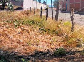  Grundstück zu verkaufen in Cuitzeo, Michoacan, Cuitzeo