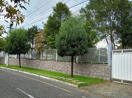 4 Habitación Casa en venta en Rumiñahui, Pichincha, Sangolqui, Rumiñahui