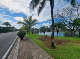  Land for sale in Samborondon, Guayas, Samborondon, Samborondon