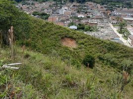  Land for sale in Amalfi, Antioquia, Amalfi