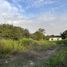  Land for rent in Pachacamac, Lima, Pachacamac, Lima, Lima