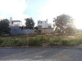  Terreno (Parcela) en venta en Morelia, Michoacán, Morelia, Michoacán, México