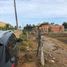  Terreno (Parcela) en venta en Sucre, Tolu, Sucre