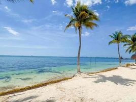 Condominium 1 chambre à vendre à Isla Mujeres, Quintana Roo, Isla Mujeres