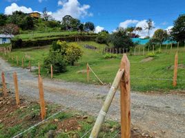  Terreno (Parcela) en venta en Marinilla, Antioquia, Marinilla