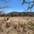  Land for sale in Yautepec, Morelos, Yautepec