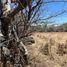  Land for sale in Yautepec, Morelos, Yautepec
