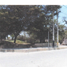  Land for sale in Chongoyape, Lambayeque, Chongoyape, Chiclayo, Lambayeque