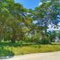  Terreno (Parcela) en venta en San Juan, Calabarzon, San Juan, Batangas, Calabarzon