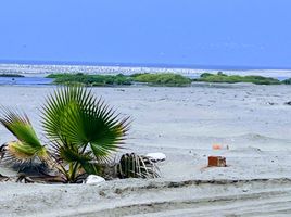  Terreno (Parcela) en venta en Chilca, Cañete, Chilca