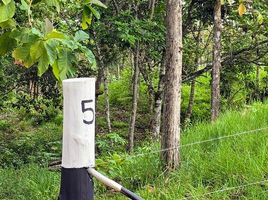  Terrain for sale in La Chorrera, Panama Oeste, Mendoza, La Chorrera