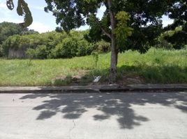  Land for sale in Consolacion, Cebu, Consolacion