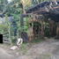  Land for sale in Las Pinas City, Metro Manila, Las Pinas City