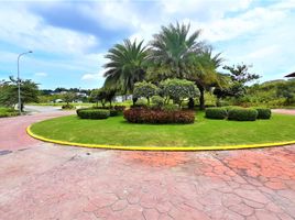  Terreno (Parcela) en venta en Consolacion, Central Visayas, Consolacion