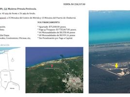  Grundstück zu verkaufen in Progreso, Yucatan, Progreso