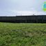  Land for sale in Calamba City, Calabarzon, Calamba City