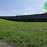  Land for sale in Calamba City, Calabarzon, Calamba City
