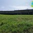  Land for sale in Calamba City, Calabarzon, Calamba City
