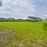  Terrain for sale in Valle Del Cauca, Palmira, Valle Del Cauca