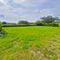  Terrain for sale in Valle Del Cauca, Palmira, Valle Del Cauca