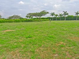  Terrain for sale in Valle Del Cauca, Palmira, Valle Del Cauca