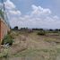  Land for sale in Silao, Guanajuato, Silao