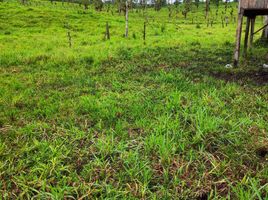  Terreno (Parcela) en venta en San Miguel de los Bancos, Pichincha, San Miguel De Los Bancos, San Miguel de los Bancos